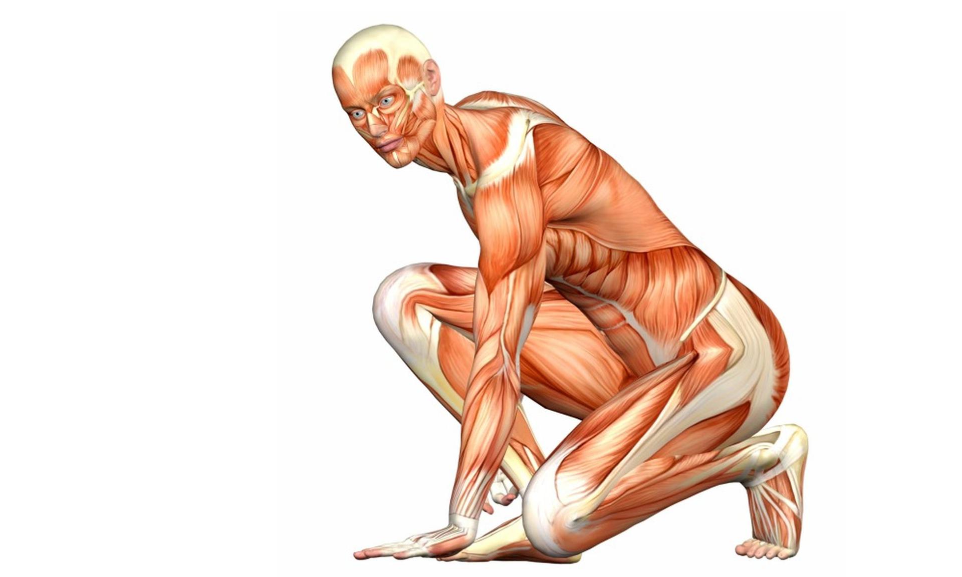 Regeneracja-mięśni-i-organizmu-—-