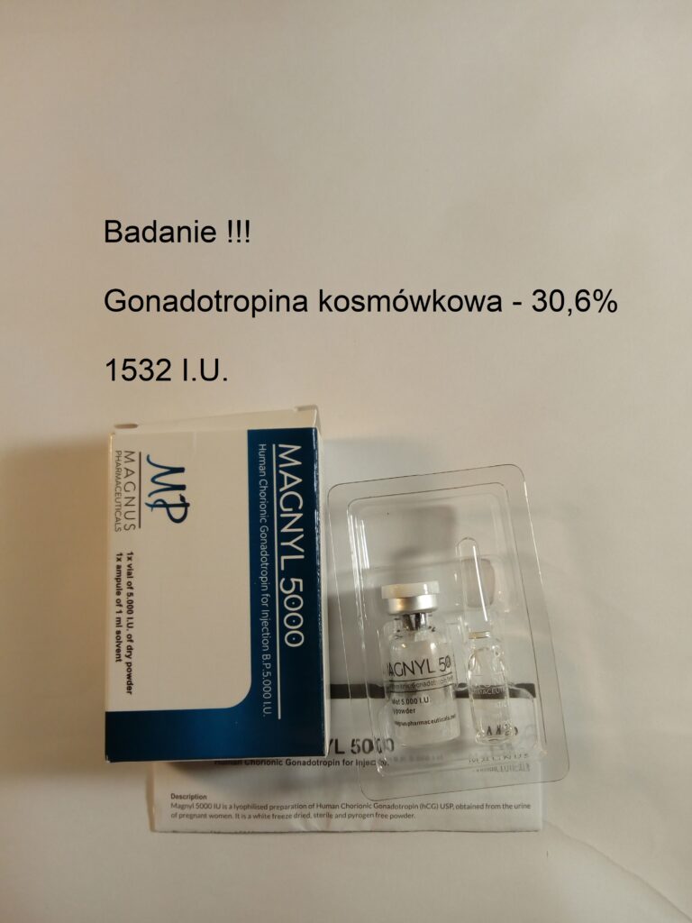 hcg magnus badanie